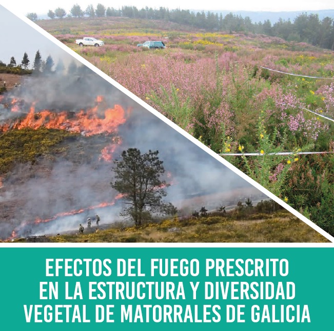 Efectos do lume prescrito na estrutura e diversidade vexetal de matogueiras de Galicia