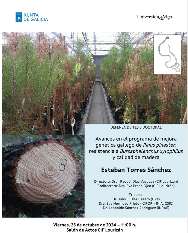 DEFENSA TESE DOUTORAMENTO DO INVESTIGADOR ESTEBAN TORRES