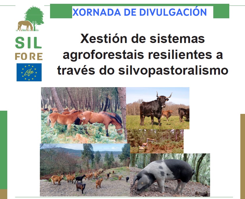 XORNADA DE DIVULGACIÓN: Xestión de sistemas agroforestais resilientes a través do silvopastoralismo