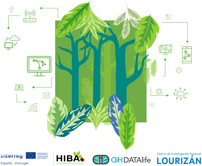 Proxecto HIBA+ DATA LIFE CIF Lourizán: Innovación Dixital no Sector Forestal