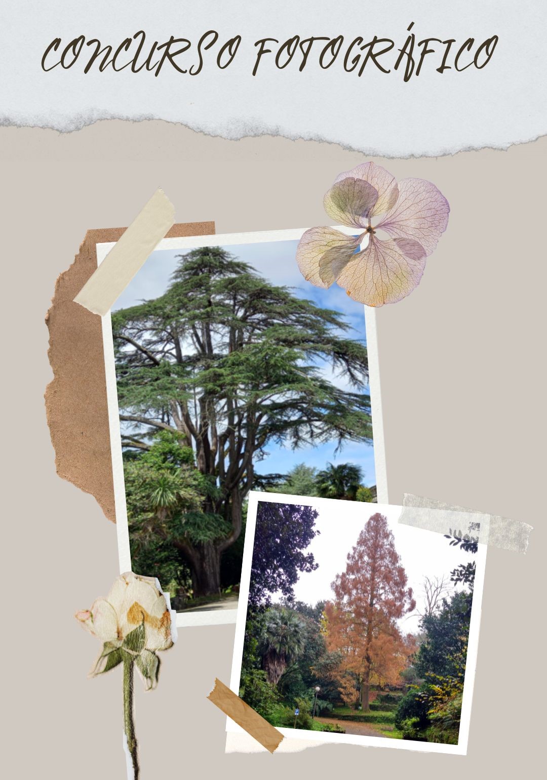 CONCURSO FOTOGRÁFICO