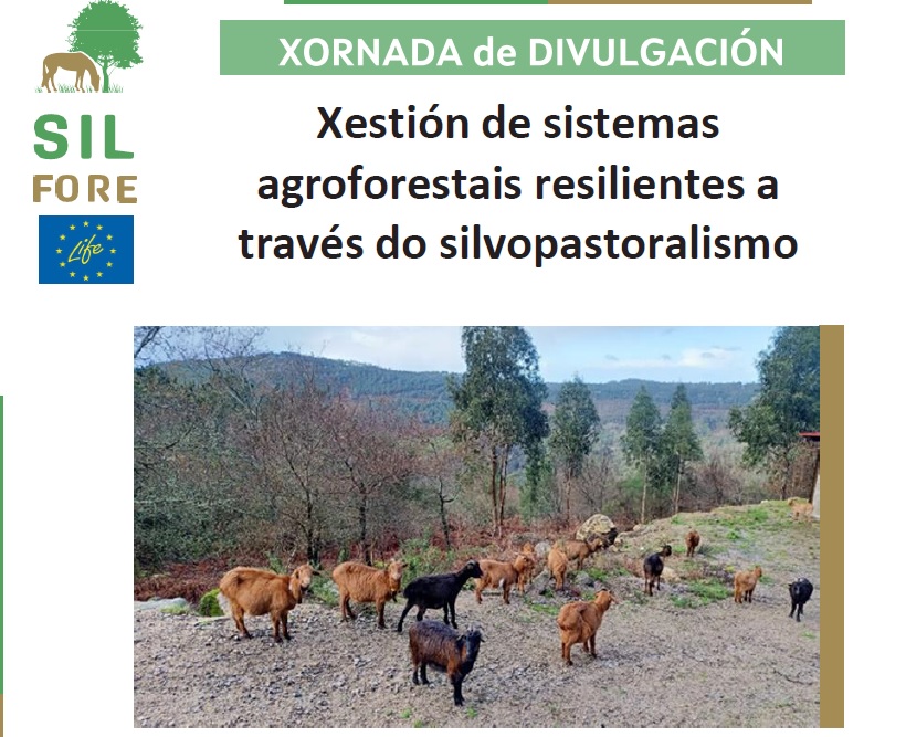 Xornada de divulgación “Xestión de sistemas agroforestais resilientes a través do silvopastoralismo” en Ribeira de Piquín (Lugo)