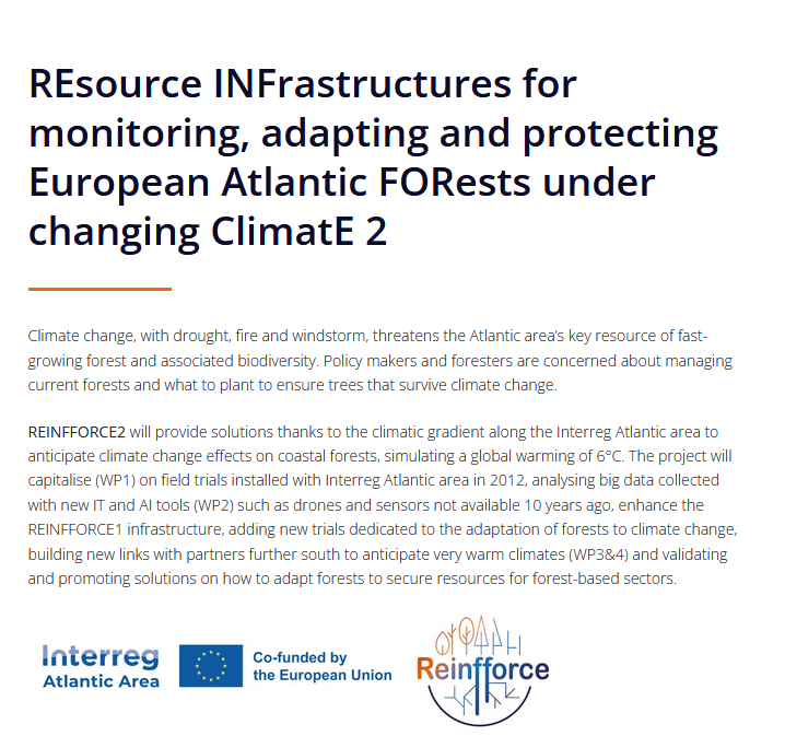 Comité técnico do proxecto REINFFORCE2