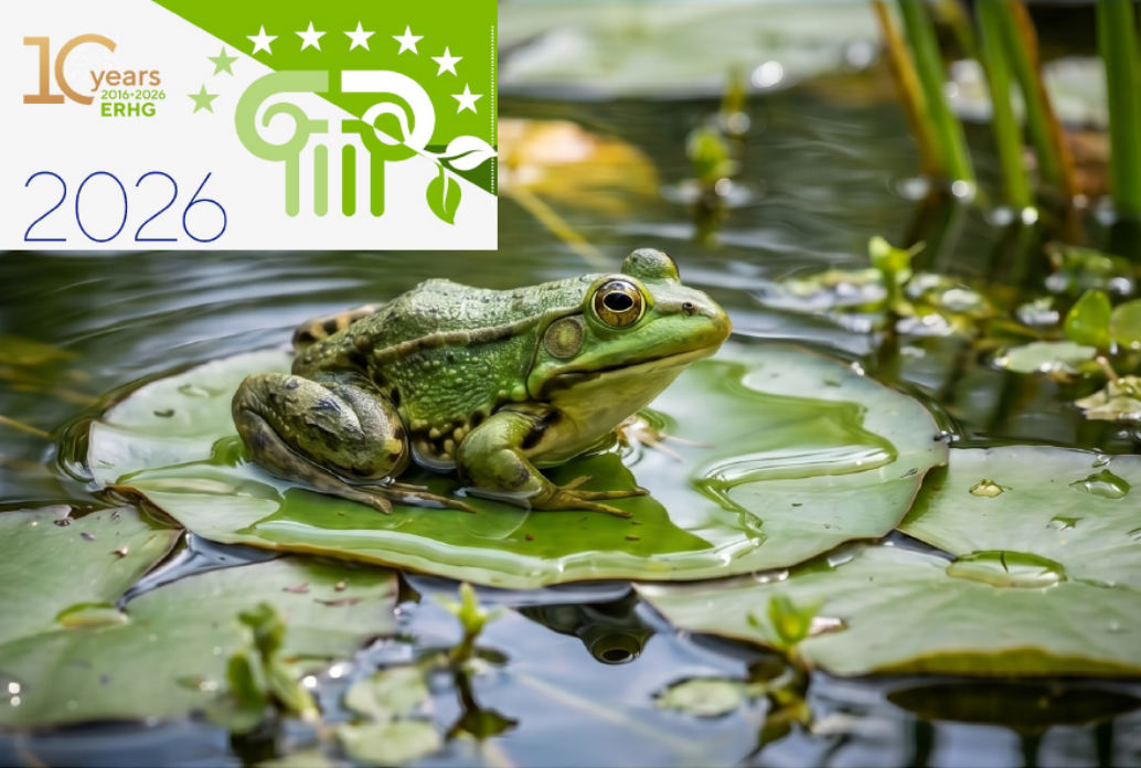 II Concurso Fotográfico: Xardín Botánico de Lourizán