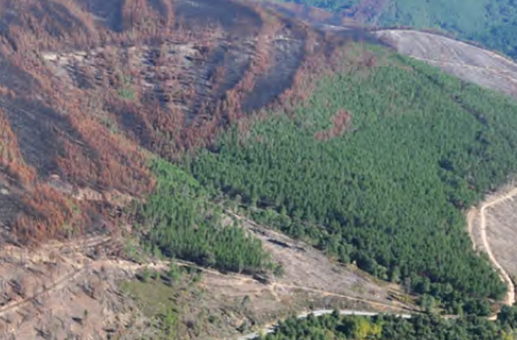 PRELIMINARY EVALUATION OF THE EROSIVE RISK FOLLOWING THE FOREST FIRE