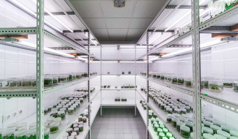 In vitro culture laboratory