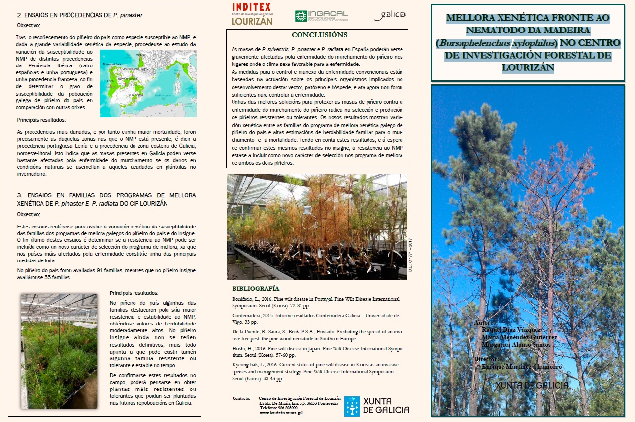 "GENETIC IMPROVEMENT AGAINST THE WOOD (Bursaphelenchus xylophilus) NEMATODE IN LOURIZÁN FORESTRY RESEARCH CENTRE" TRIPTYCH