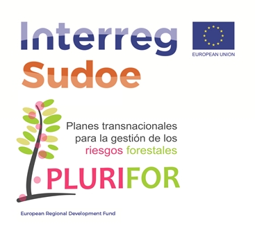 PROYECTO PLURIFOR