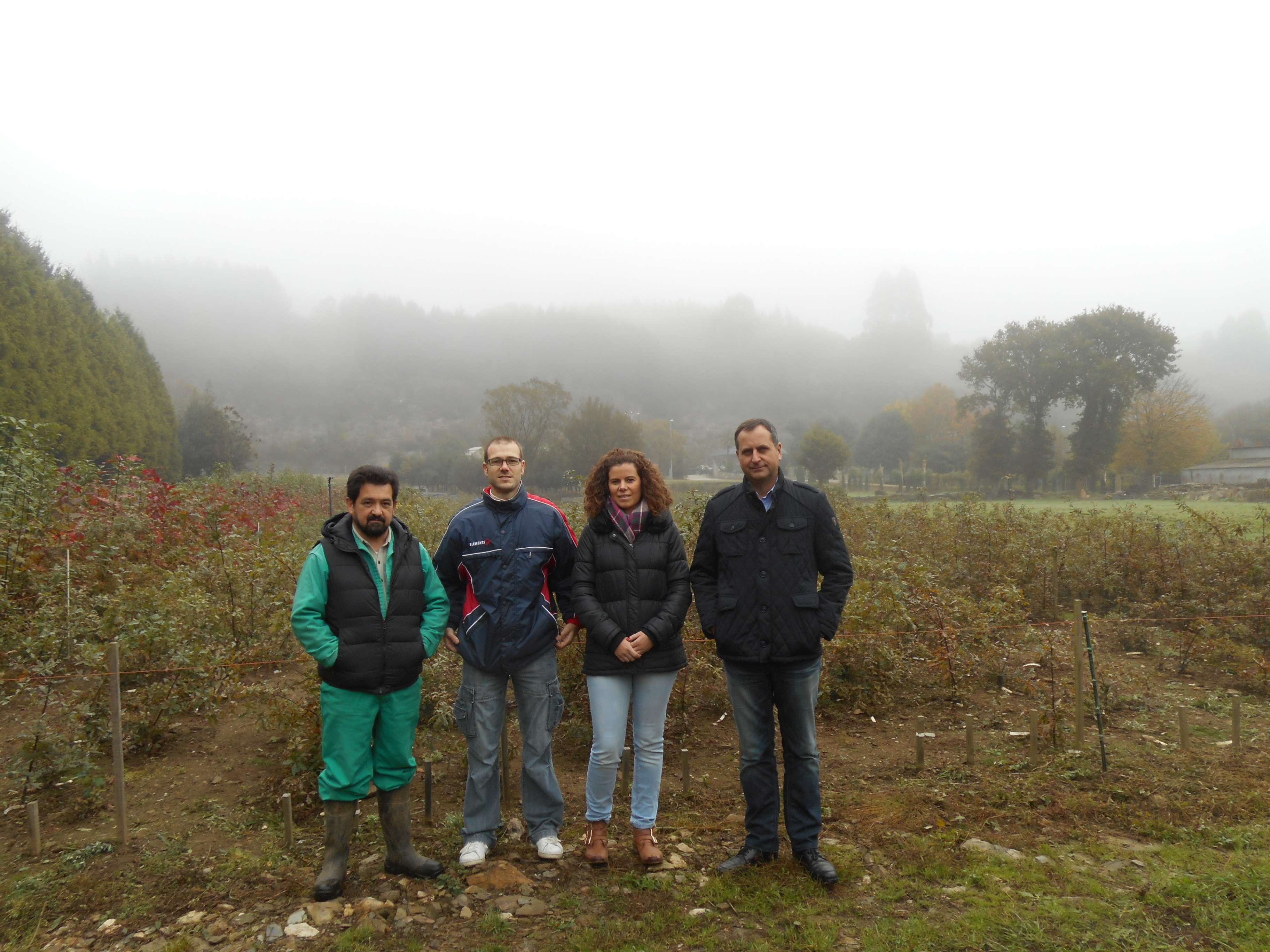 FOLLOW-UP OF THE IMPROVEMENT PROJECT OF THE GALICIAN OAK
