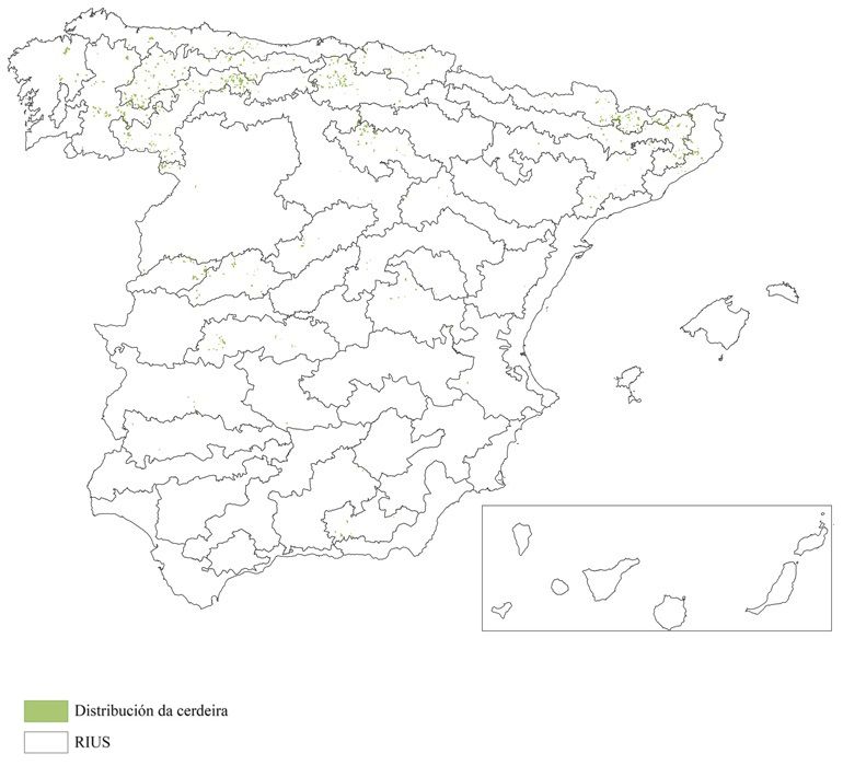 Distribución da cerdeira en España (Terceiro Inventario Forestal Nacional)