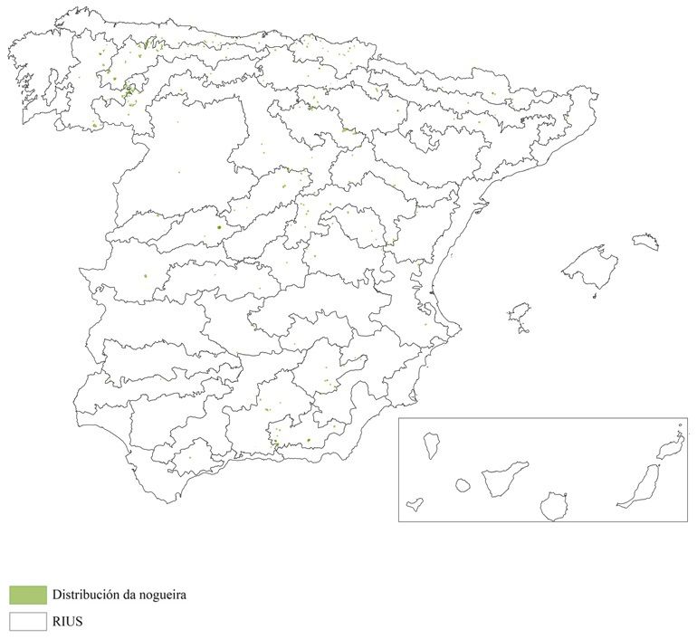 Distribución da nogueira en España (Terceiro Inventario Forestal Nacional)