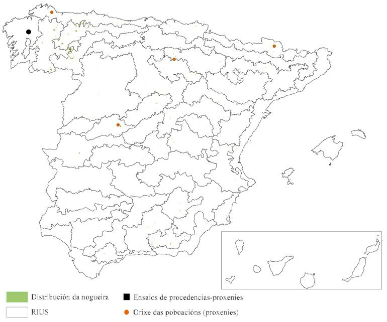 Orixe das poboacións españolas e ensaio de procedencias-proxenies