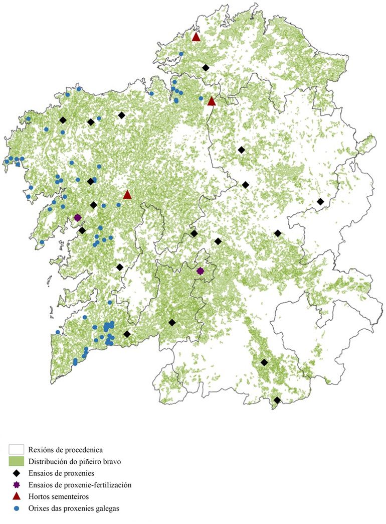Orixe das proxenies galegas, hortos sementeiros, ensaios de proxenies e de proxenies x fertilización