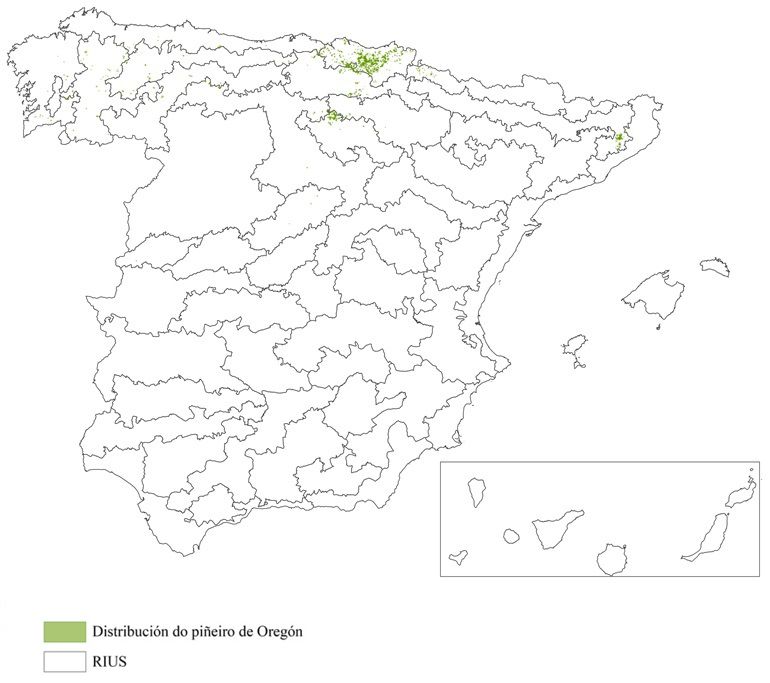 Distribución do piñeiro de Oregón introducido en España (Terceiro Inventario Forestal Nacional)