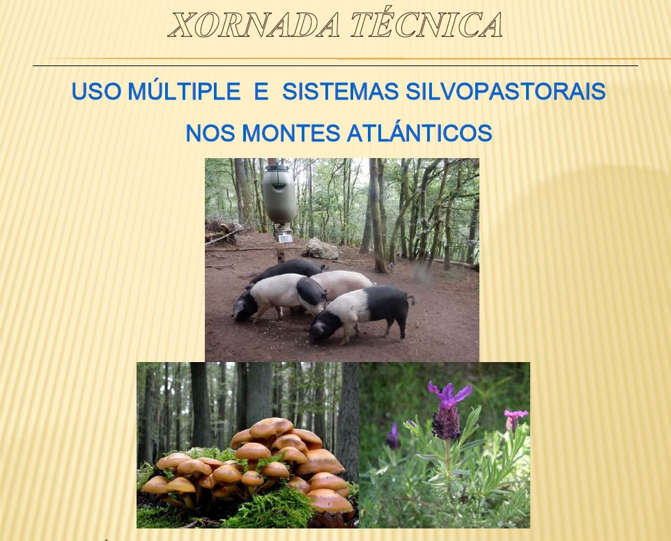 TECHNICAL CONFERENCE "MULTIPLE USE AND SILVOPASTORAL SYSTEMS IN THE ATLANTIC MOUNTAINS"