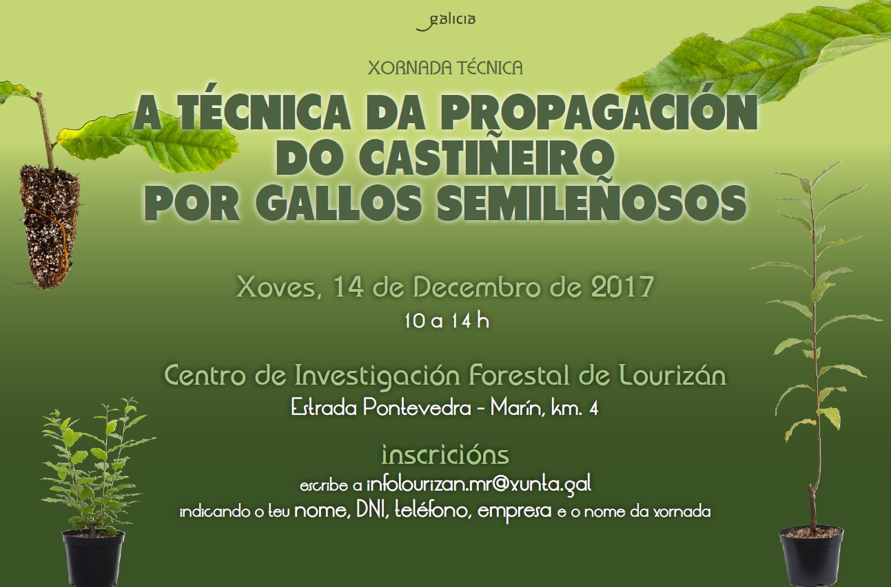 TECHNICAL CONFERENCE "PROPAGATION TECHNIQUE OF THE CHESTNUT TREE BY SEMI-HARDWOOD CUTTINGS"